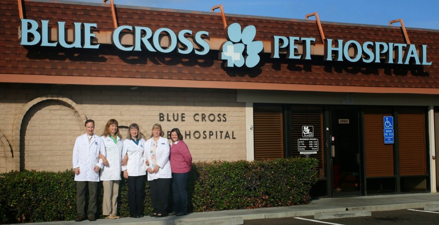 Blue Cross Pet Hospital Small Veterinarians